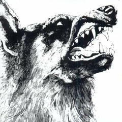 Crippled Black Phoenix - We Forgotten Who We Are
