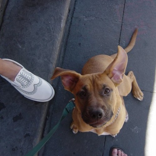 Guest podcast mix for Computer Paul (2010)