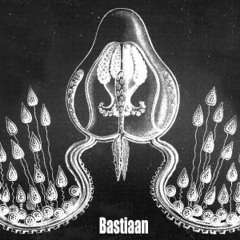 Dimoni_Adn aka Eixco-Primavera -Verano (Sesion)