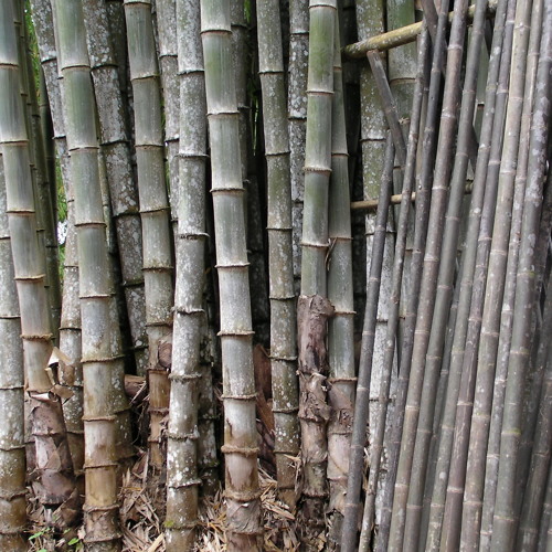 Every part of the Earth - 20 SOL