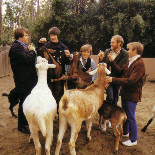 Stream The Beach Boys I Just Wasn t Made For These Times Citizen 