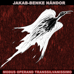 03 Jakab-Benke Nándor - She Don't Love Me
