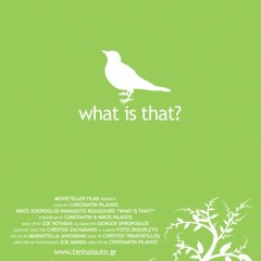 What is that?