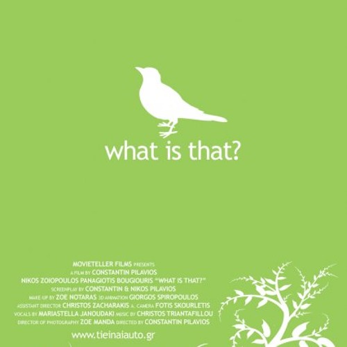 What is that?