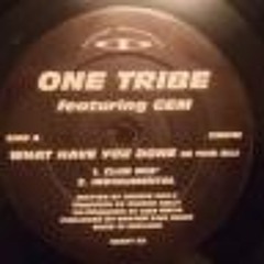 What Have You Done - One Tribe ft. Gem