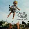 James Blunt - Stay the Night (Official Upload)