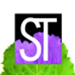 Lolo - Blink (Salato Techno Remix)