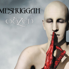 MESHUGGAH - Bleed