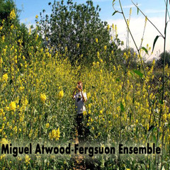 Miguel Atwood-Ferguson - Drips-Take Notice (Feat - Flying Lotus)