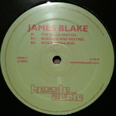 James Blake - Buzzard and Kestral (HES011)