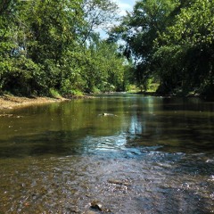 Connoquenessing Creek