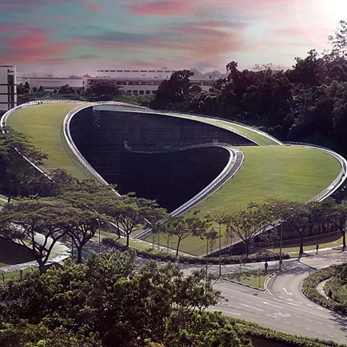 The Android Bishop - Surveying the landscape of lifes choices