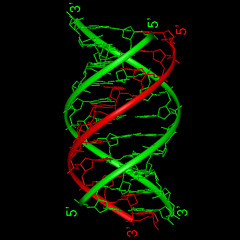 ``Triple Helix``