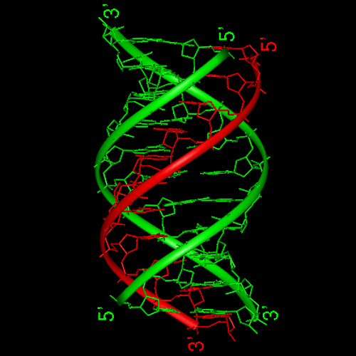 ``Triple Helix``