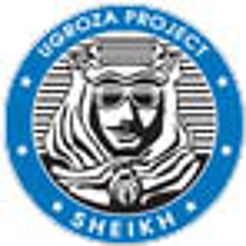UGROZA project - SHEIKH [original mix]
