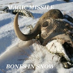 Bones in Snow