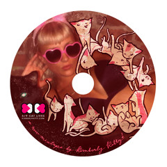 01 6 9 cat lives 夜回り先生１