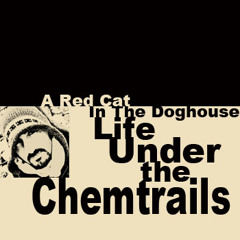 Life Under The Chemtrails promo mix