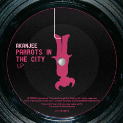 Jamiroquai + Mickail Weidner mashup - Parrots in the city