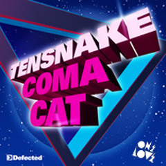 TENSNAKE -Coma Cat (Treasure Fingers Remix)