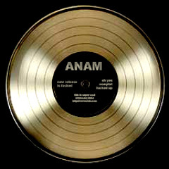 Anamkhaï + Beastie Boys - Intergalactic [live]