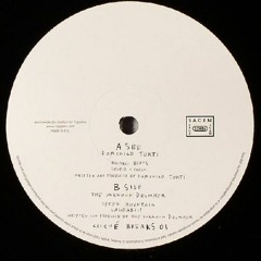 DOMENICO TORTI Stupid & Fresh