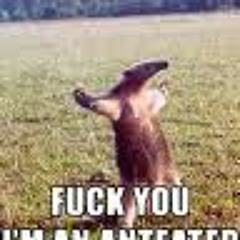 Anteater