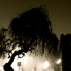 dust