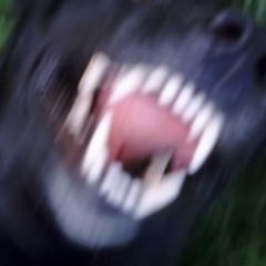 PIXELFACE - Bon Baisé du Sale Sud