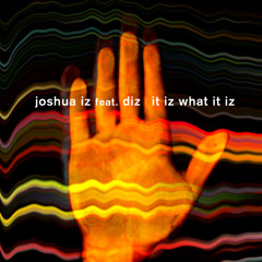 Joshua Iz feat. Diz - It Iz What It Iz (Radio Edit)