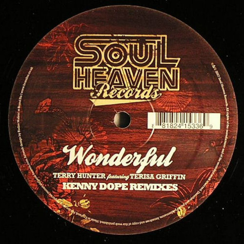 Wonderful (Terrys Main Club Mix) Feat  Terisa Griffin