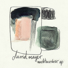 A1 David Mayer - Nacktenordner (Extract)