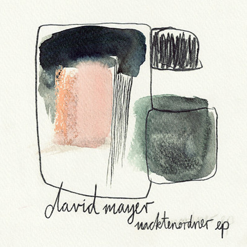 A1 David Mayer - Nacktenordner (Extract)