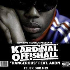 Kardinal Offishall ft Akon - Dangerous (FeueR Dub Mix)