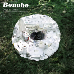 Bonobo - Walk In The Sky (feat. Bajka)