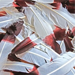 Korallreven - The Truest Faith (Ghostape Remix)