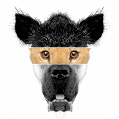 The Chap - Even Your Friend (Ghostape Remix)