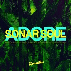 Sonar Soul - Adore (Album Version)