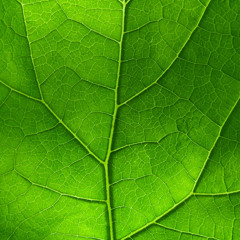 MikeJohnson-CutDeep(MarcLeafUberEdit)