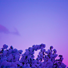 Snow's White [Version Lilac] by Vic Ryder & Dead Kousin