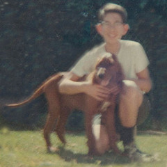 When The Crowd Say Bo: Parklife