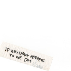 If Anything Happens To The Cat - Jessamine