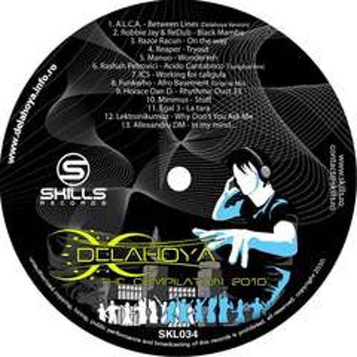 Allexandru Dm-in  my mind...(Delahoya Compilation 2010, Skills records )