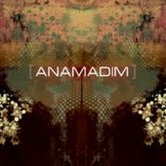 Anamadim - Mutation (Fredrik Croona on Vox)