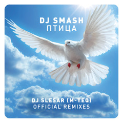 DJ SMASH - BIRD (DJ SLESAR M-TEQ remix)