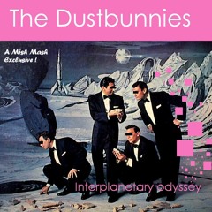 RIP MCA / Adam Yauch - Beasty Boys - Intergalactic (The Dustbunnies' Interplanetary Odyssey remix)