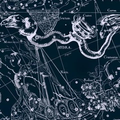 The Hydra