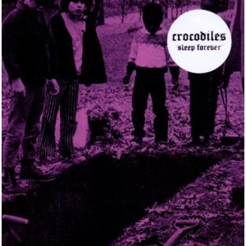 Crocodiles- Mirrors