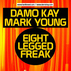 Damo Kay & Mark Young - Eight Legged Freak (preview)