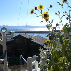 naoshima Field Recordings